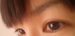 �I�����o����������тƔ��^